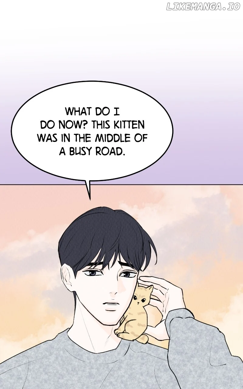 Want to See My Cat? Chapter 29 page 2