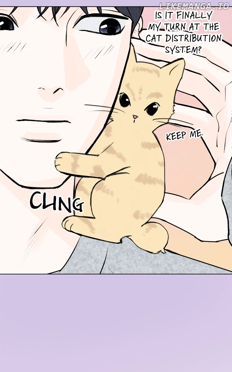 Want to See My Cat? Chapter 29 page 5