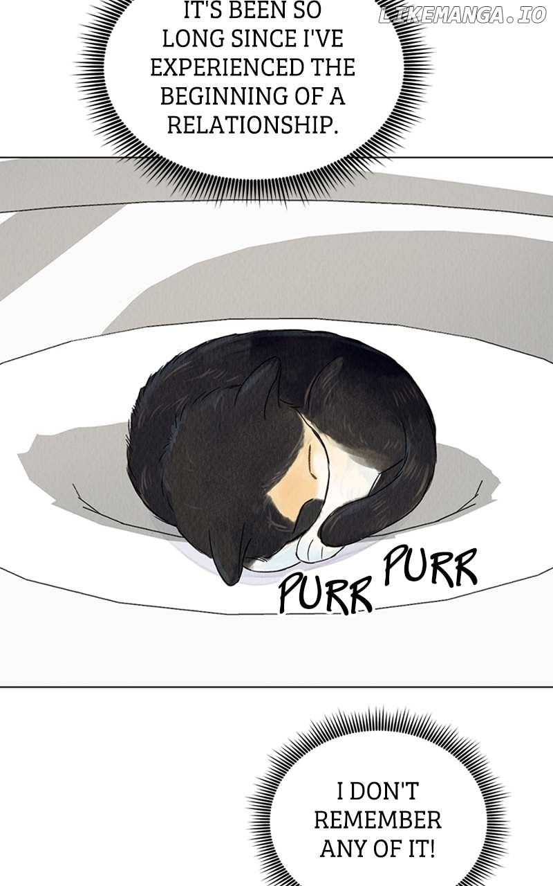 Want to See My Cat? Chapter 3 page 3