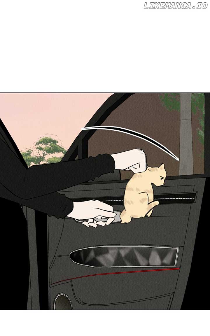 Want to See My Cat? Chapter 30 page 49