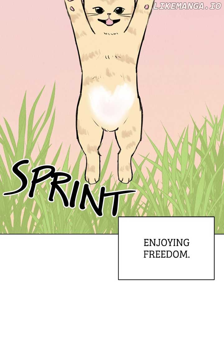 Want to See My Cat? Chapter 30 page 58
