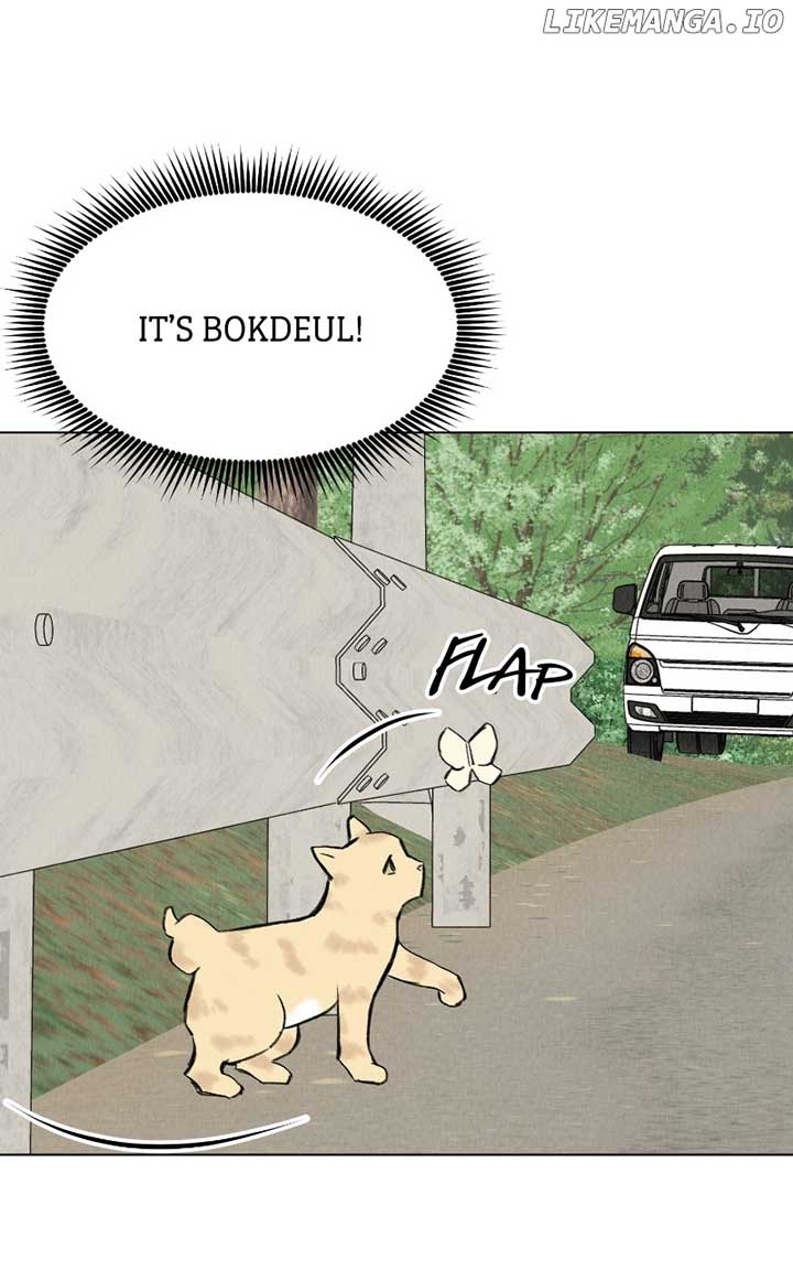 Want to See My Cat? Chapter 30 page 80