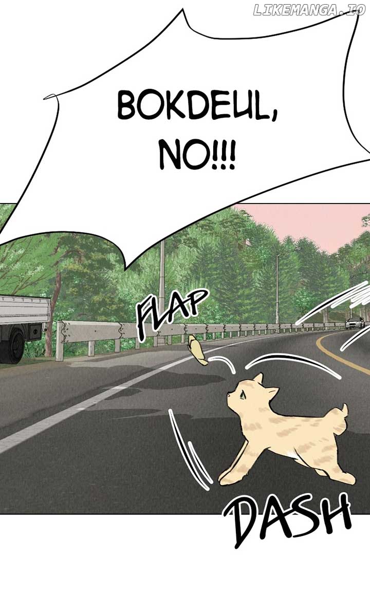 Want to See My Cat? Chapter 30 page 85