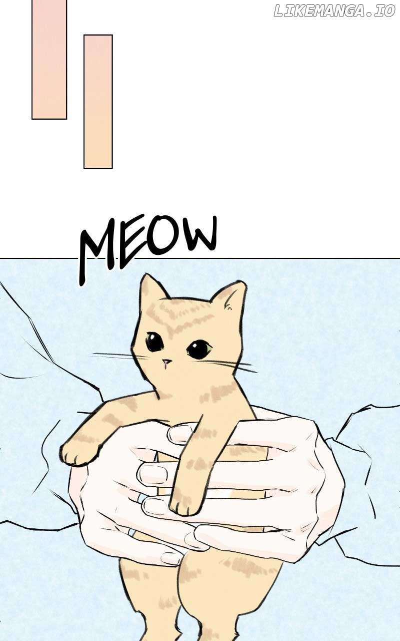 Want to See My Cat? Chapter 31 page 12