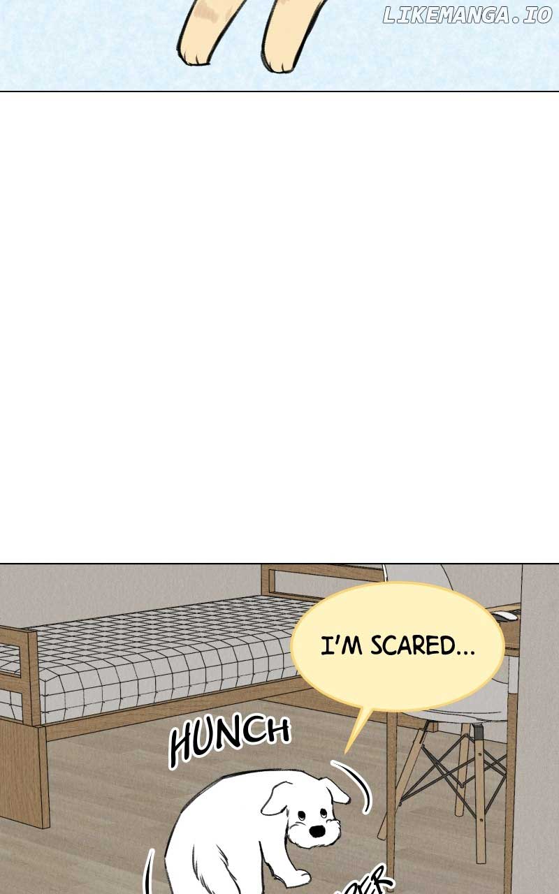 Want to See My Cat? Chapter 31 page 13