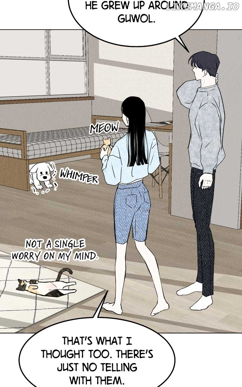 Want to See My Cat? Chapter 31 page 16