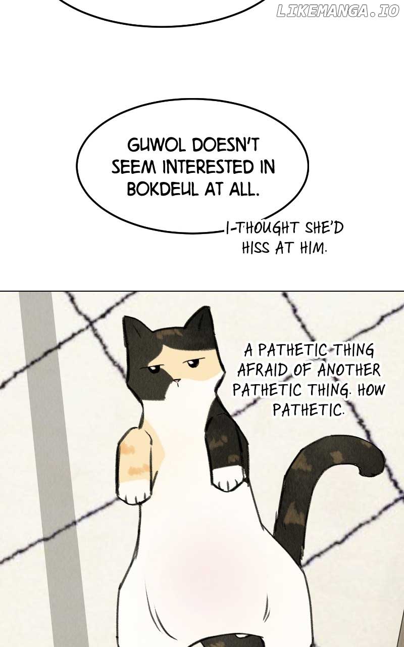 Want to See My Cat? Chapter 31 page 17