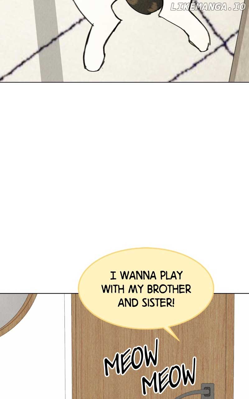 Want to See My Cat? Chapter 31 page 18