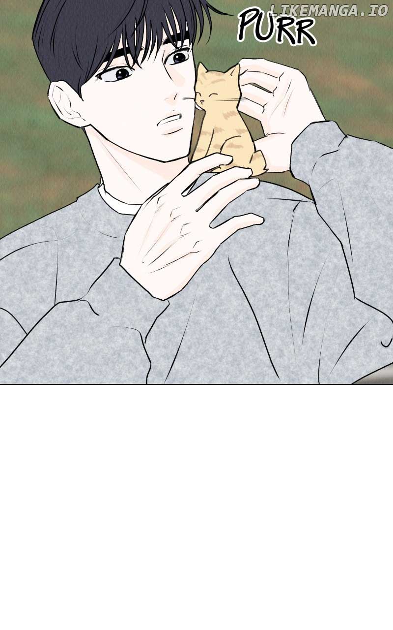Want to See My Cat? Chapter 31 page 4