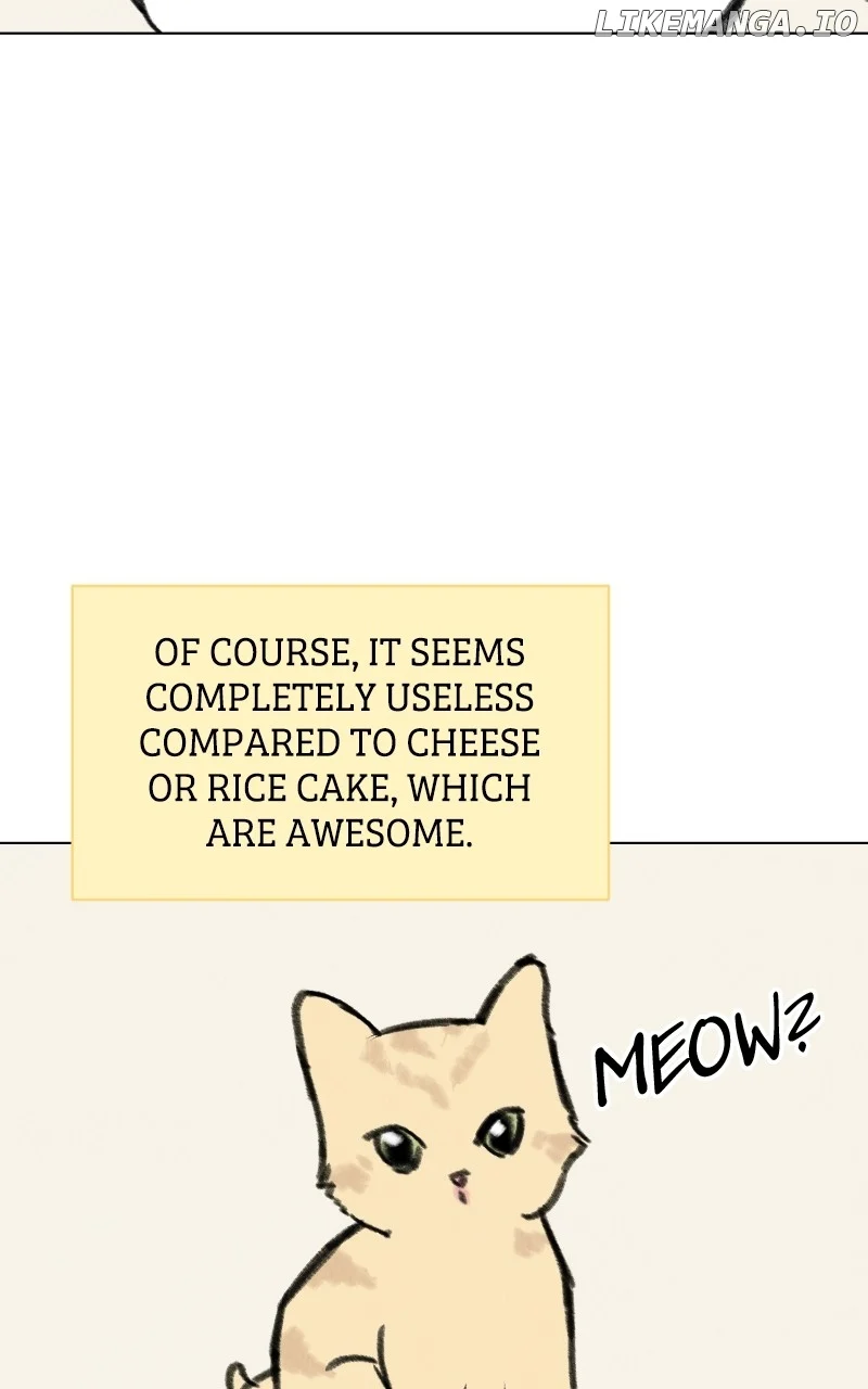 Want to See My Cat? Chapter 33 page 16