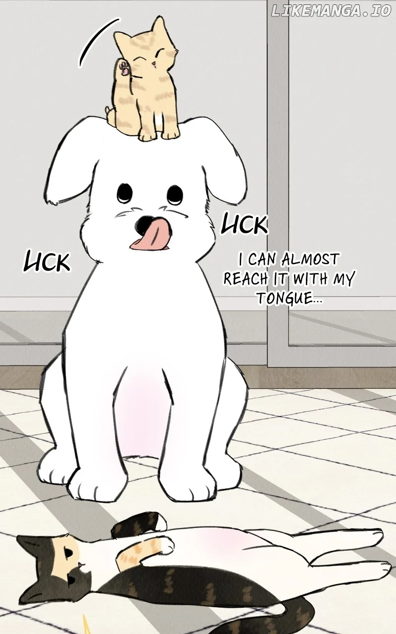 Want to See My Cat? Chapter 33 page 18