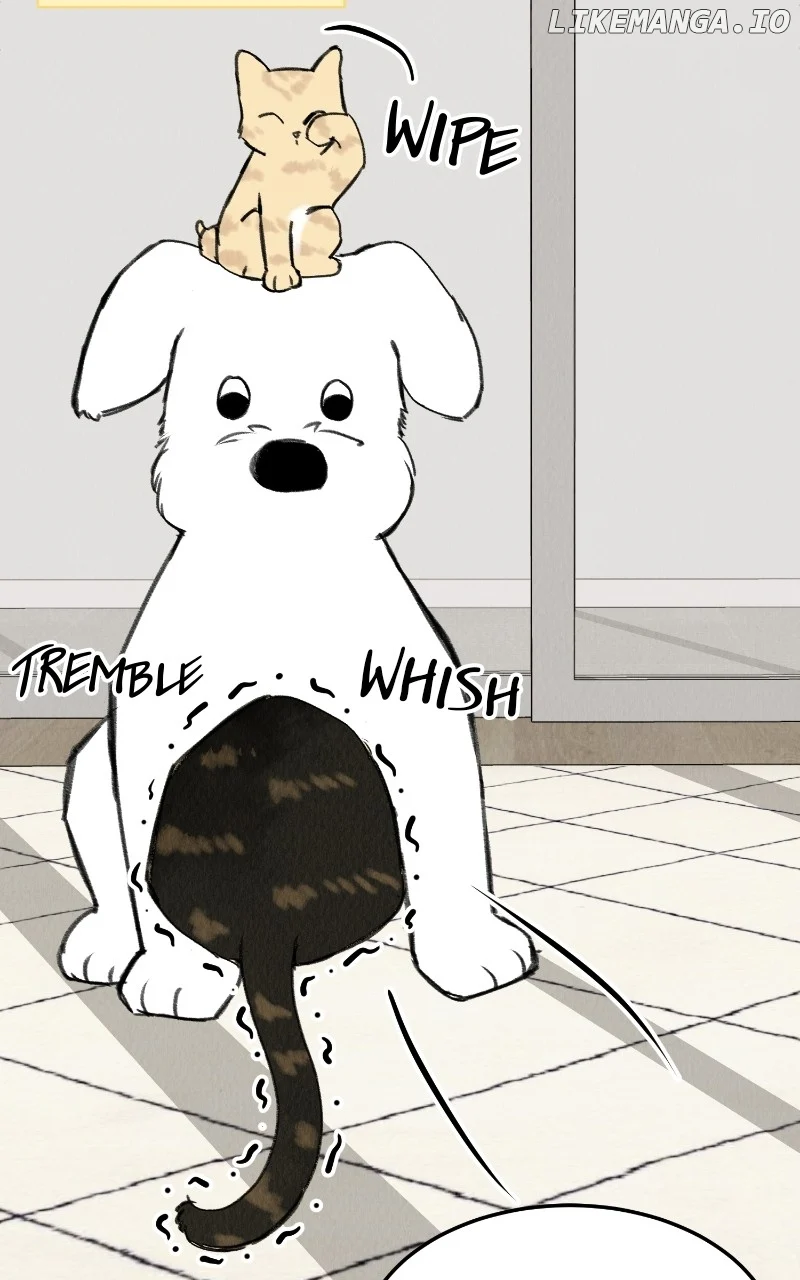 Want to See My Cat? Chapter 33 page 20