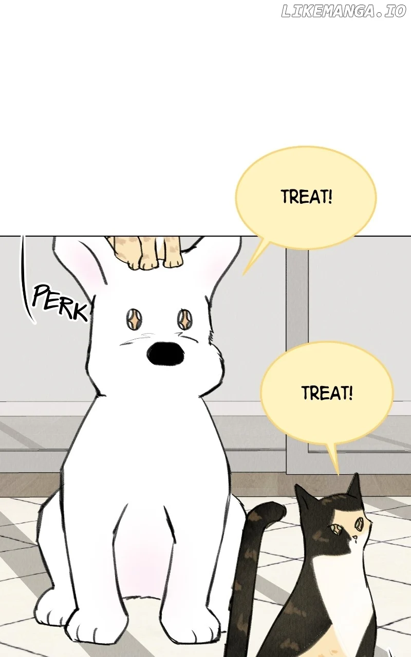 Want to See My Cat? Chapter 33 page 26