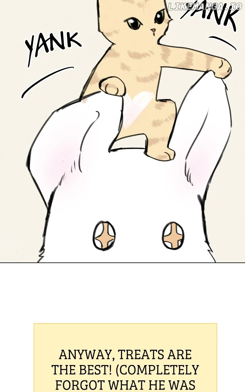 Want to See My Cat? Chapter 33 page 28