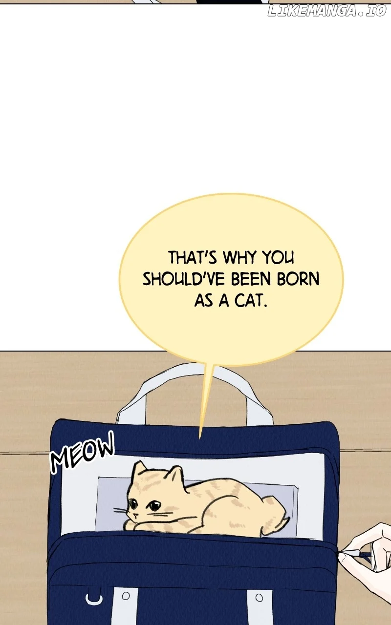 Want to See My Cat? Chapter 34 page 52