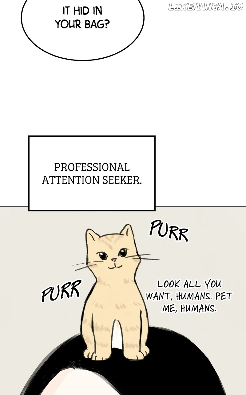 Want to See My Cat? Chapter 34 page 57