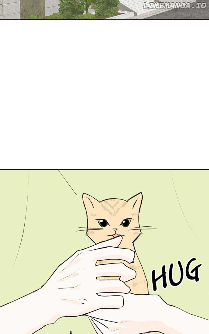 Want to See My Cat? Chapter 35 page 69