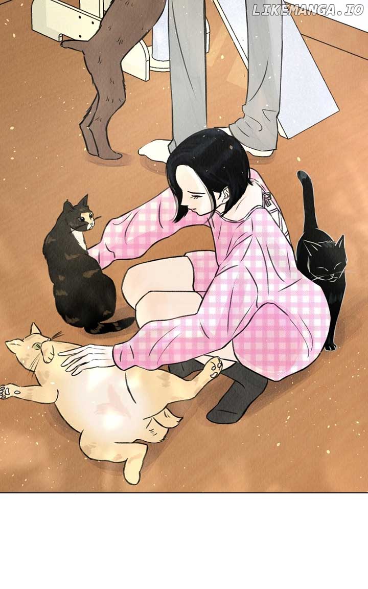 Want to See My Cat? Chapter 35 page 81