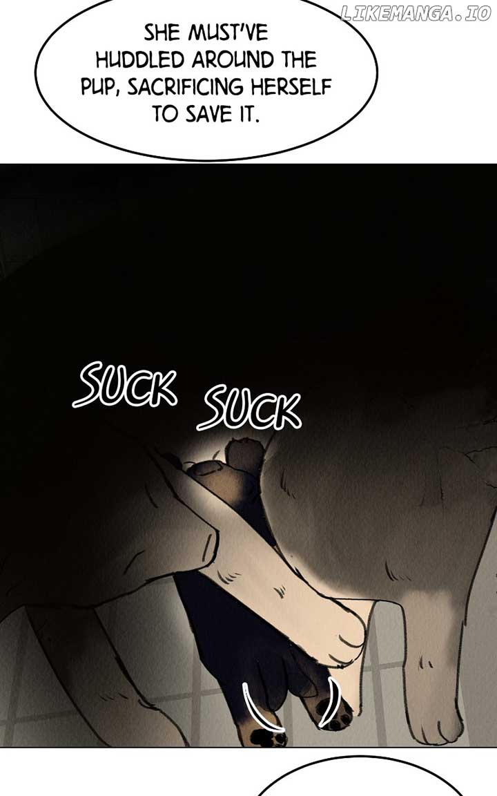 Want to See My Cat? Chapter 38 page 38