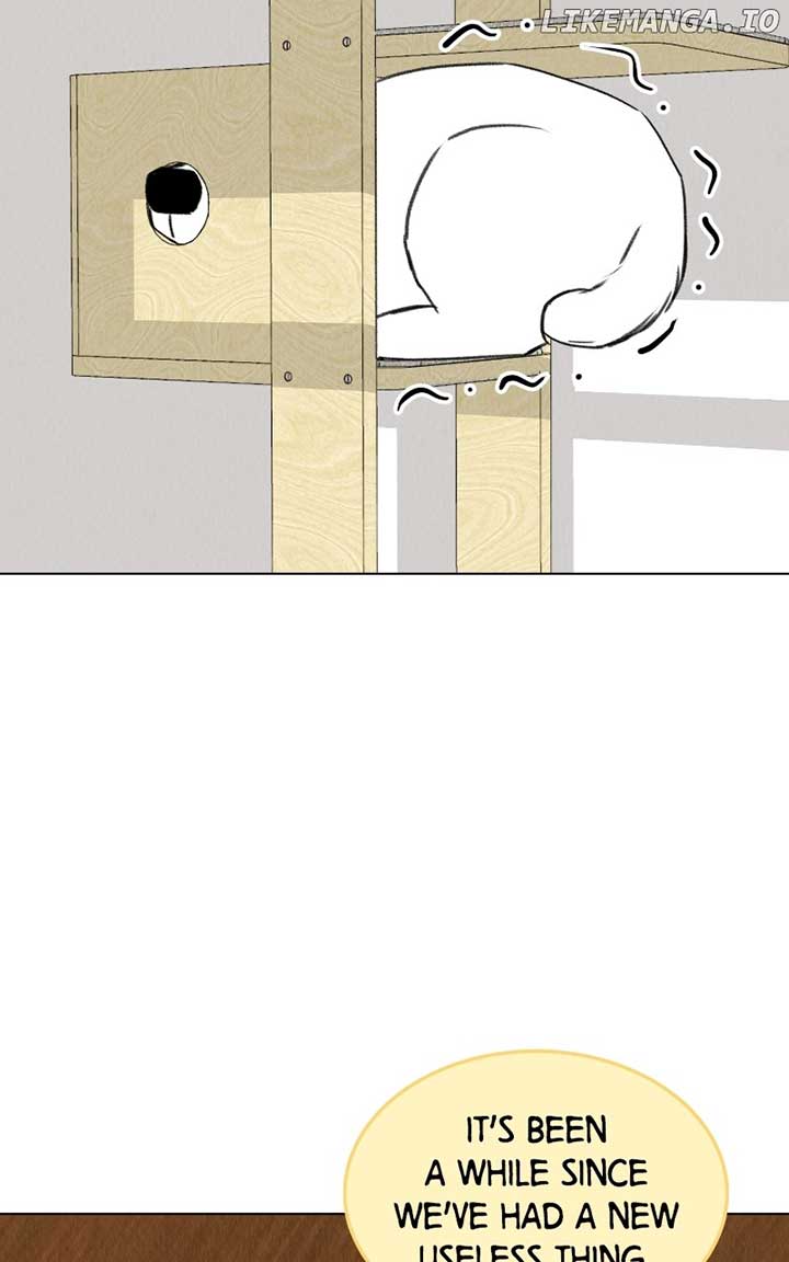Want to See My Cat? Chapter 38 page 49