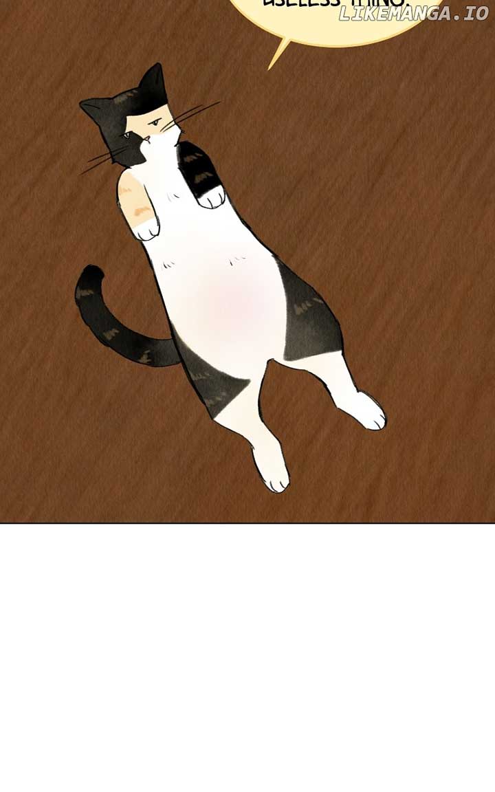 Want to See My Cat? Chapter 38 page 50