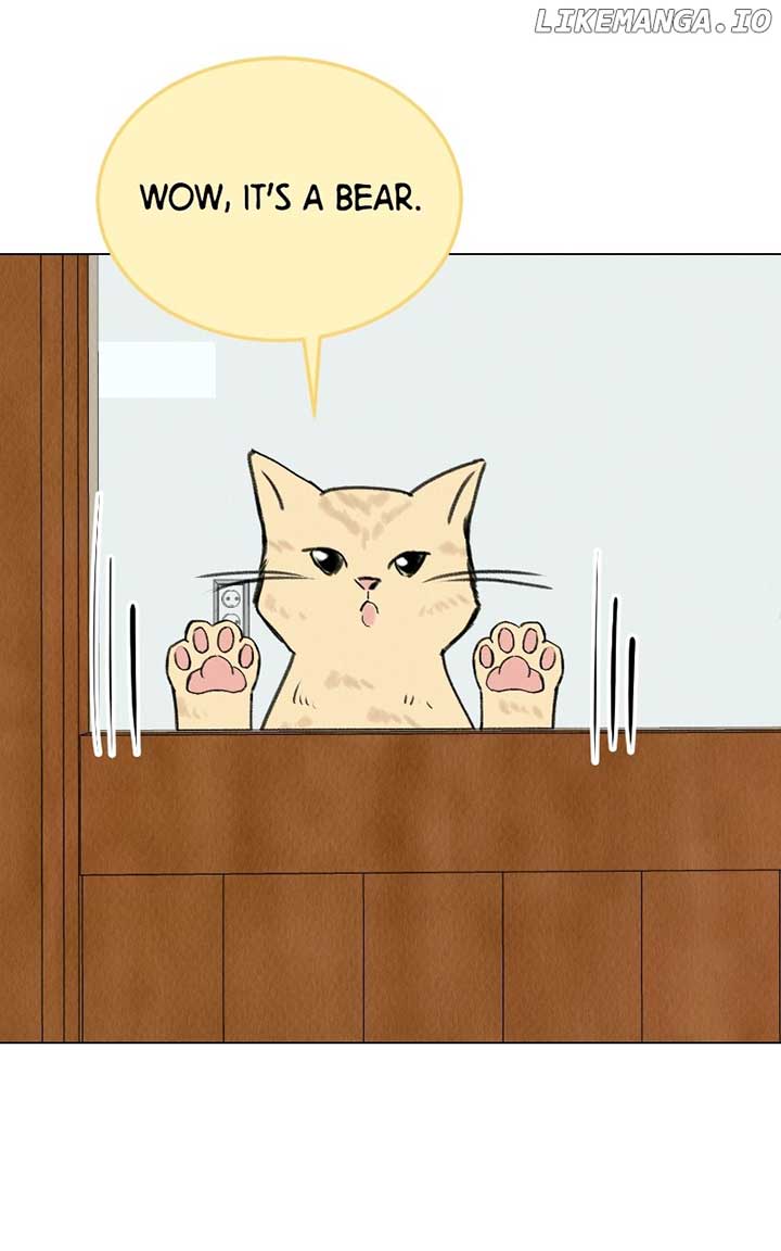 Want to See My Cat? Chapter 38 page 51