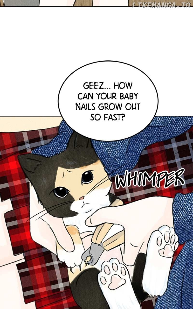 Want to See My Cat? Chapter 4 page 10