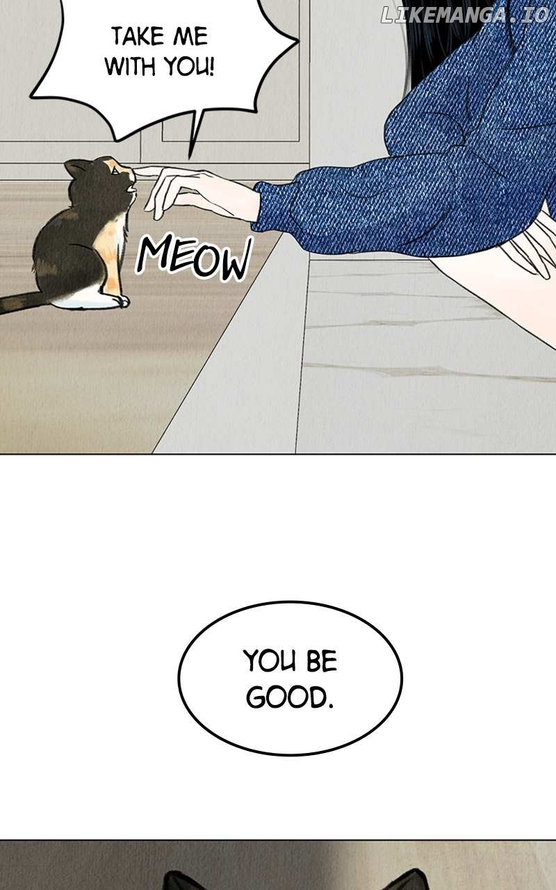 Want to See My Cat? Chapter 4 page 12