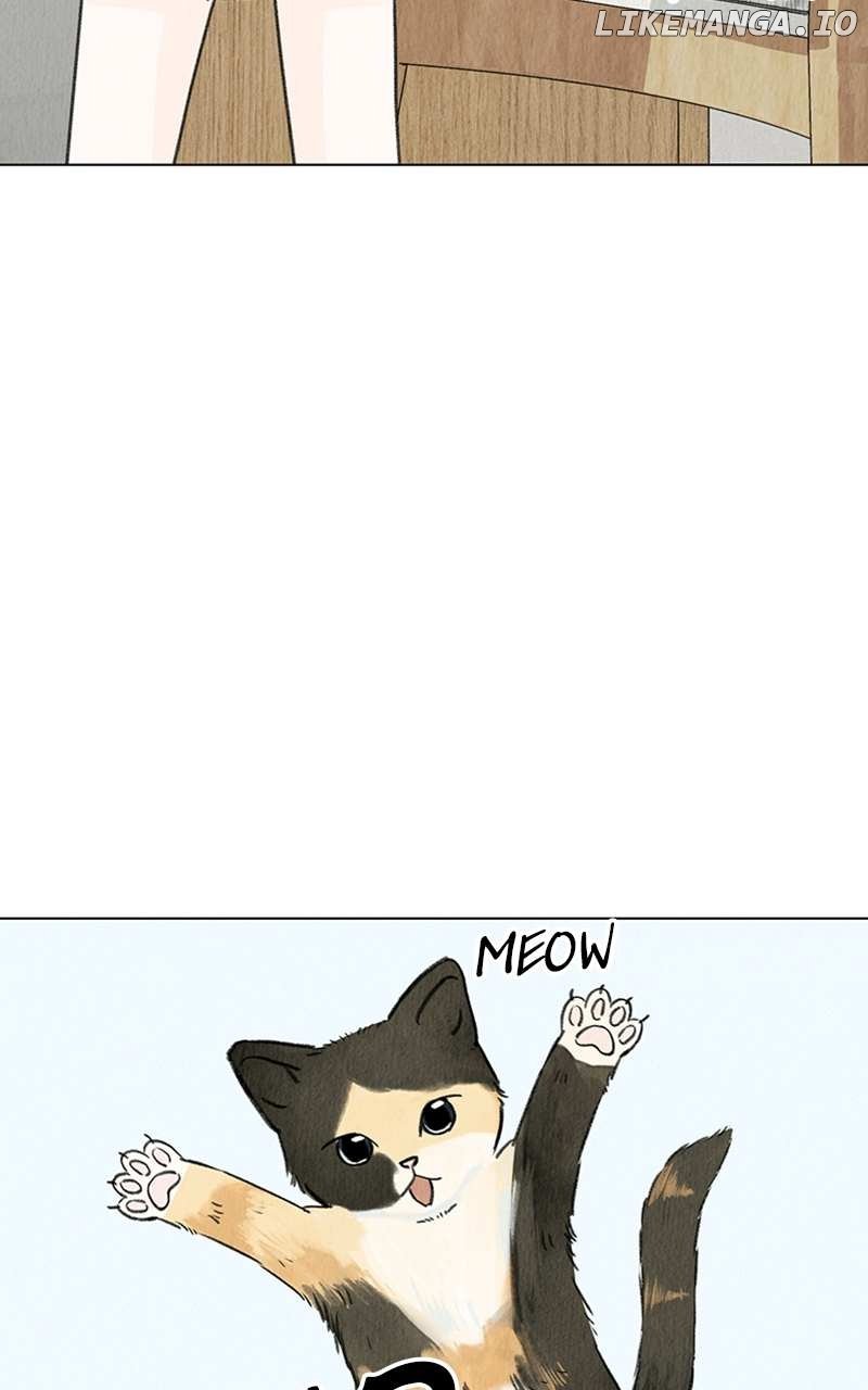 Want to See My Cat? Chapter 4 page 4
