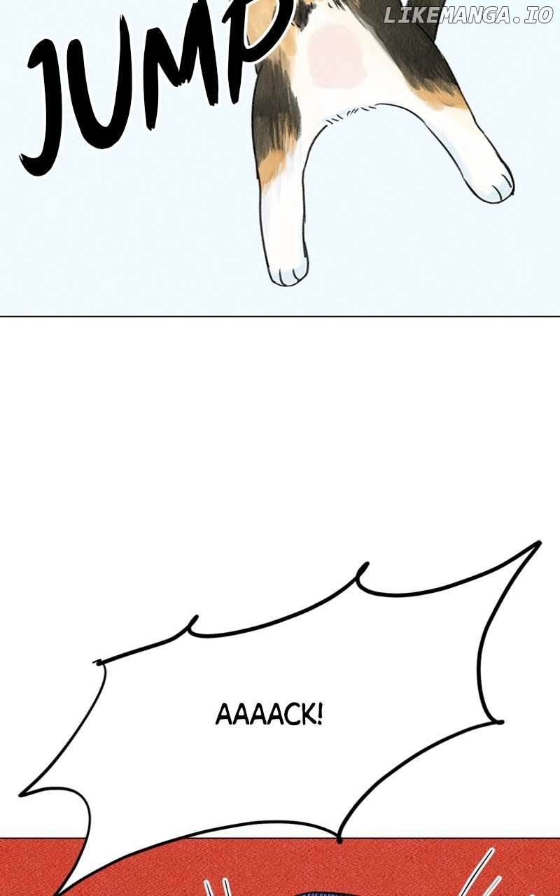 Want to See My Cat? Chapter 4 page 5
