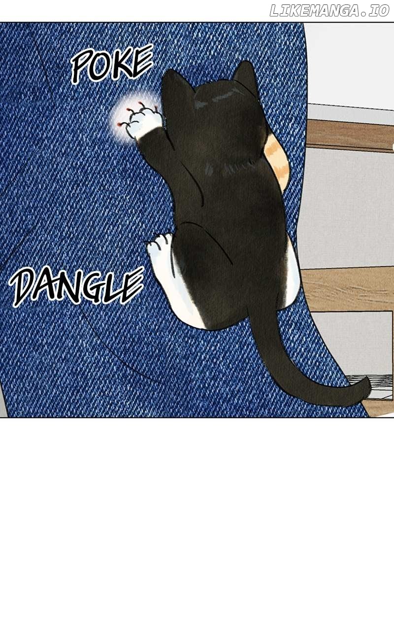 Want to See My Cat? Chapter 4 page 7