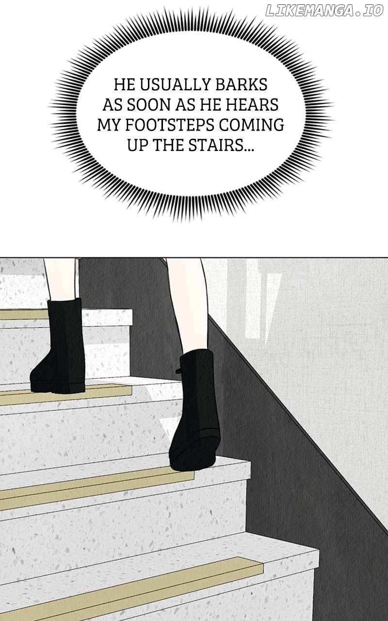 Want to See My Cat? Chapter 4 page 82