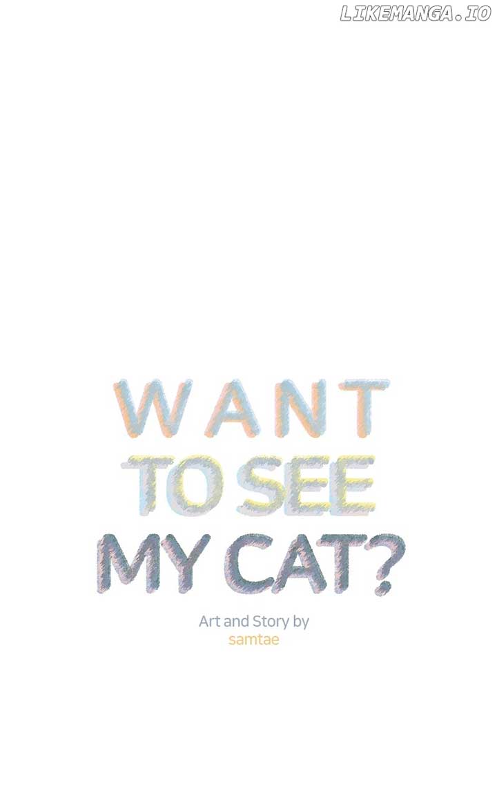 Want to See My Cat? Chapter 41 page 34