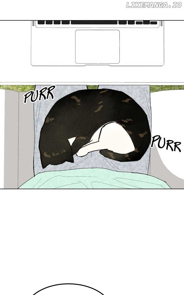 Want to See My Cat? Chapter 41 page 37