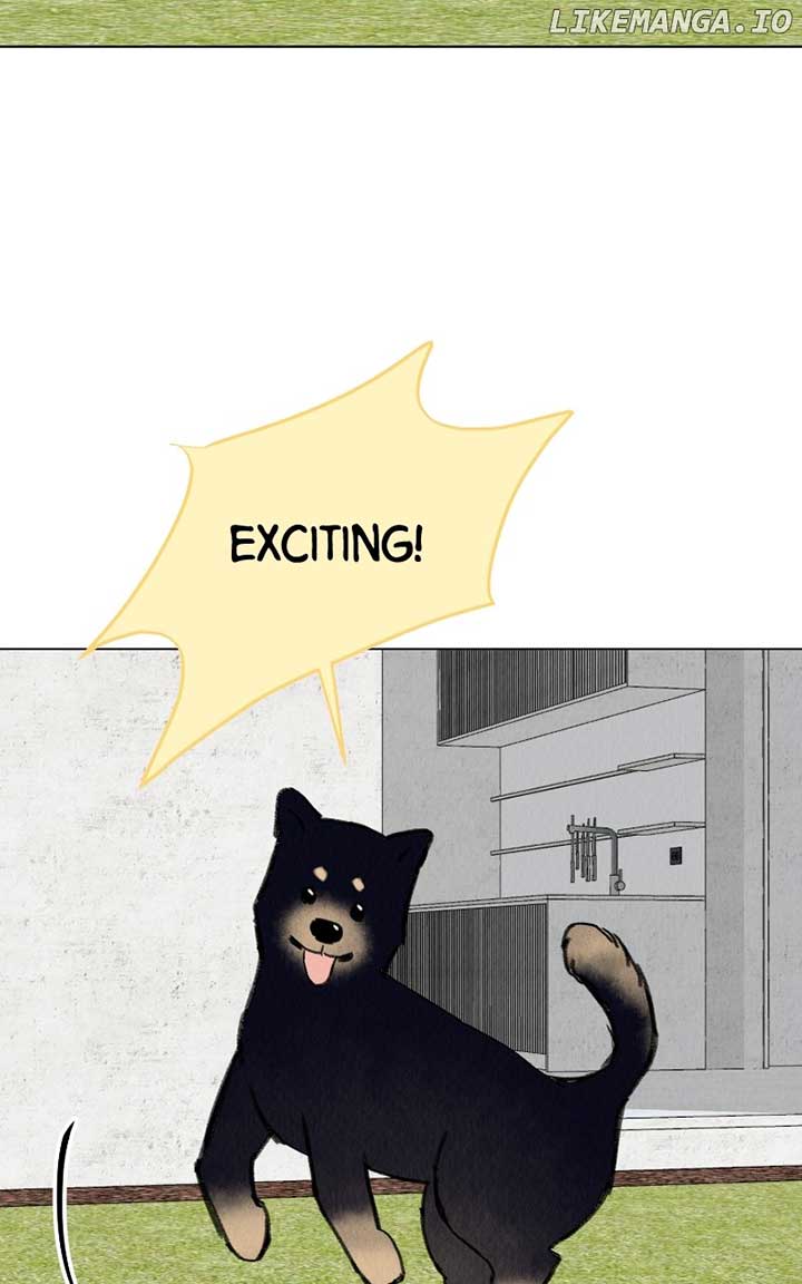 Want to See My Cat? Chapter 41 page 49