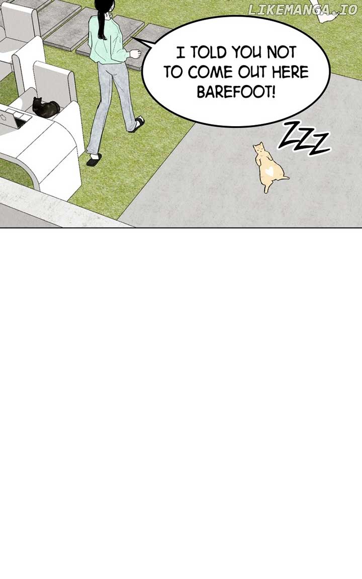 Want to See My Cat? Chapter 41 page 51