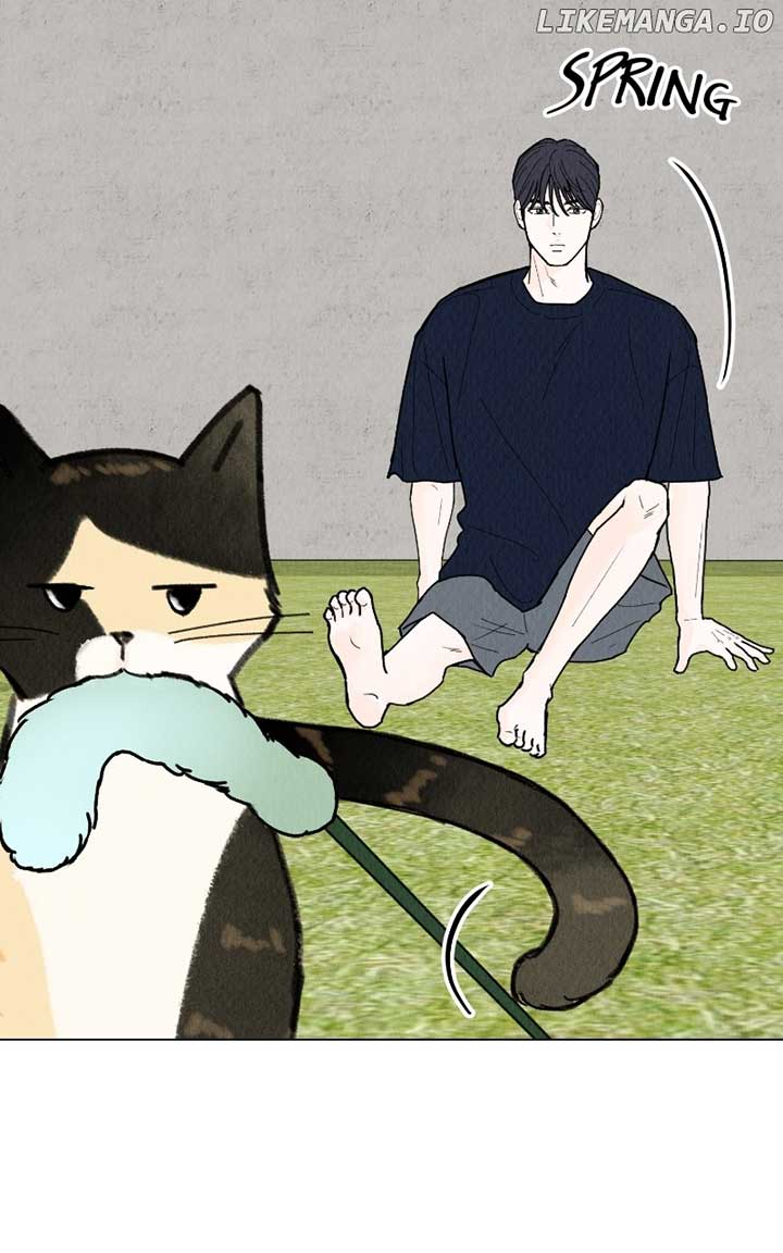 Want to See My Cat? Chapter 43 page 28