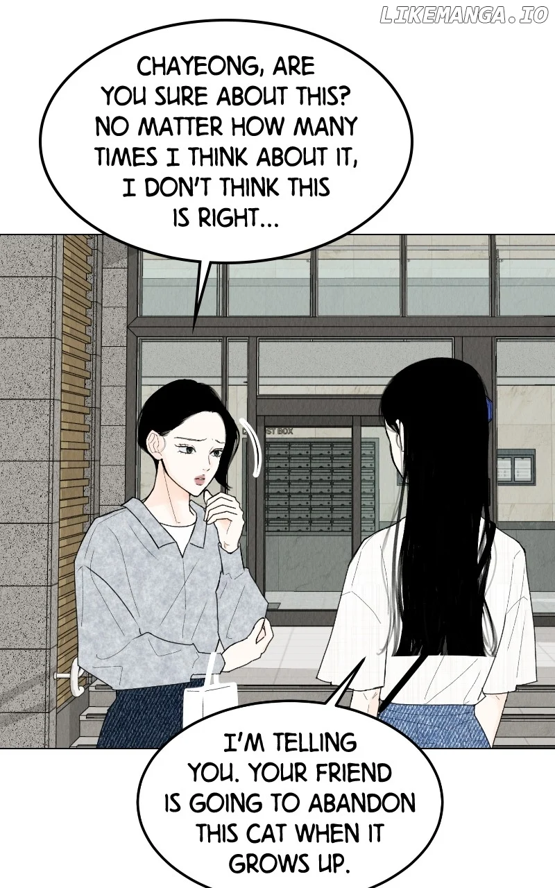 Want to See My Cat? Chapter 47 page 1