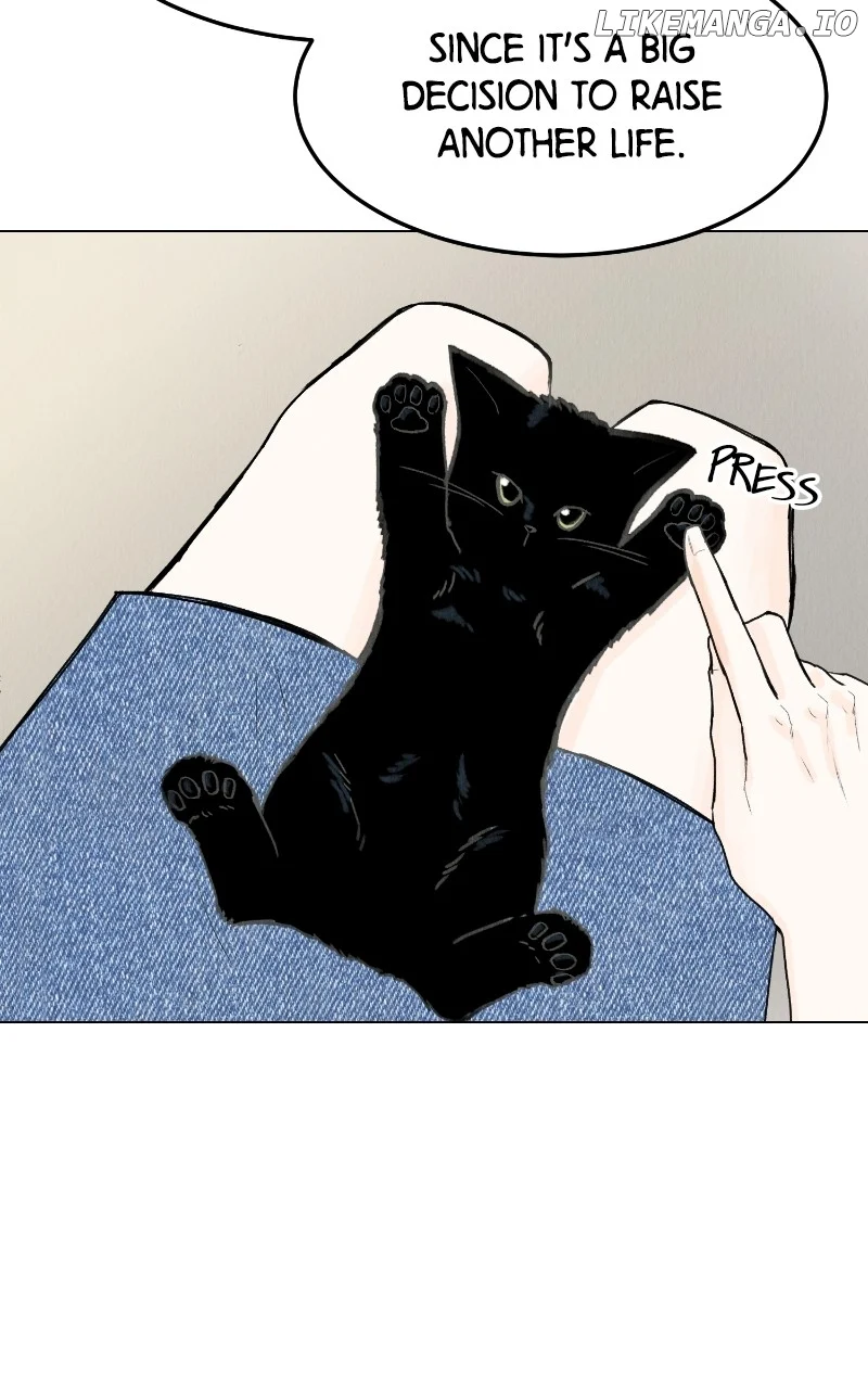 Want to See My Cat? Chapter 47 page 36
