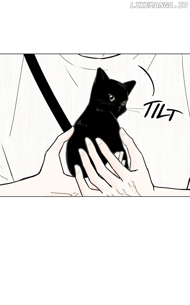 Want to See My Cat? Chapter 47 page 51
