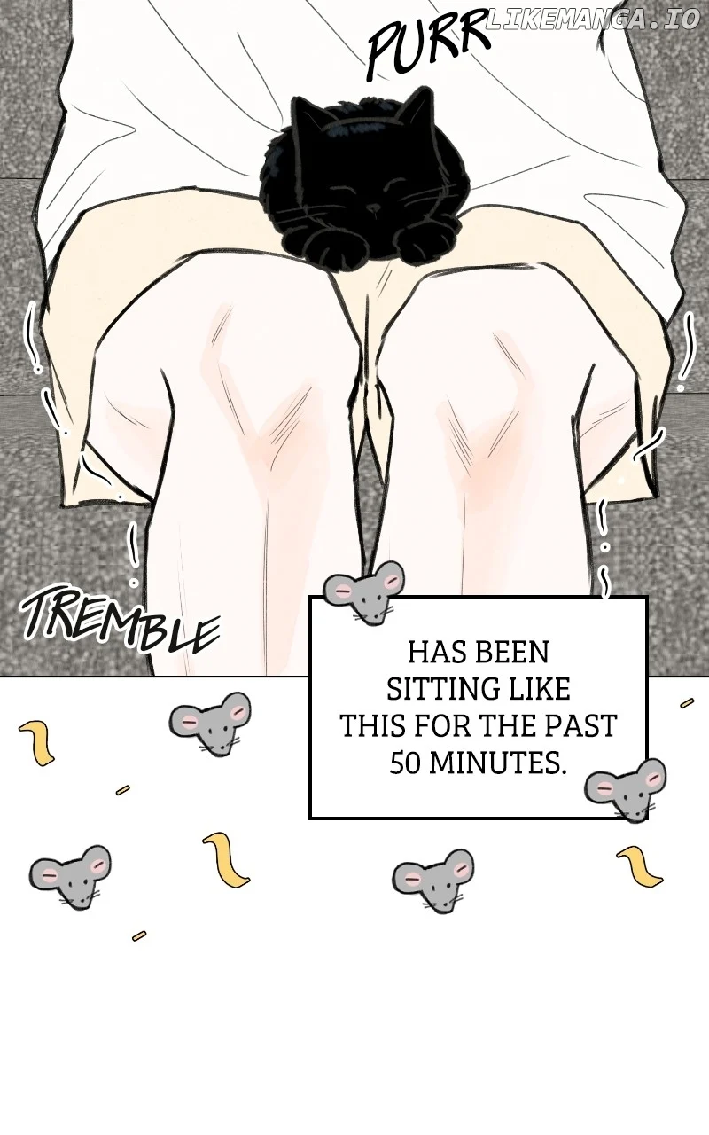 Want to See My Cat? Chapter 48 page 31