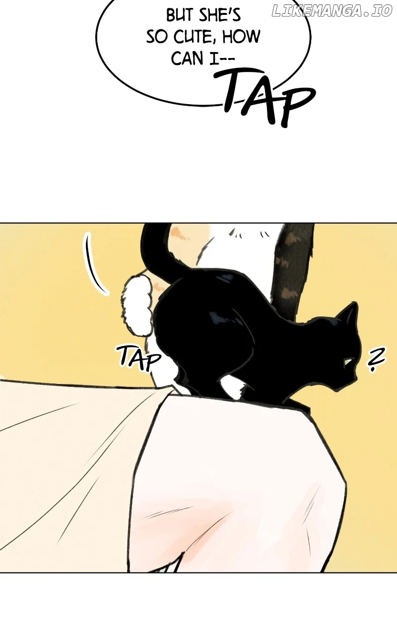 Want to See My Cat? Chapter 48 page 33