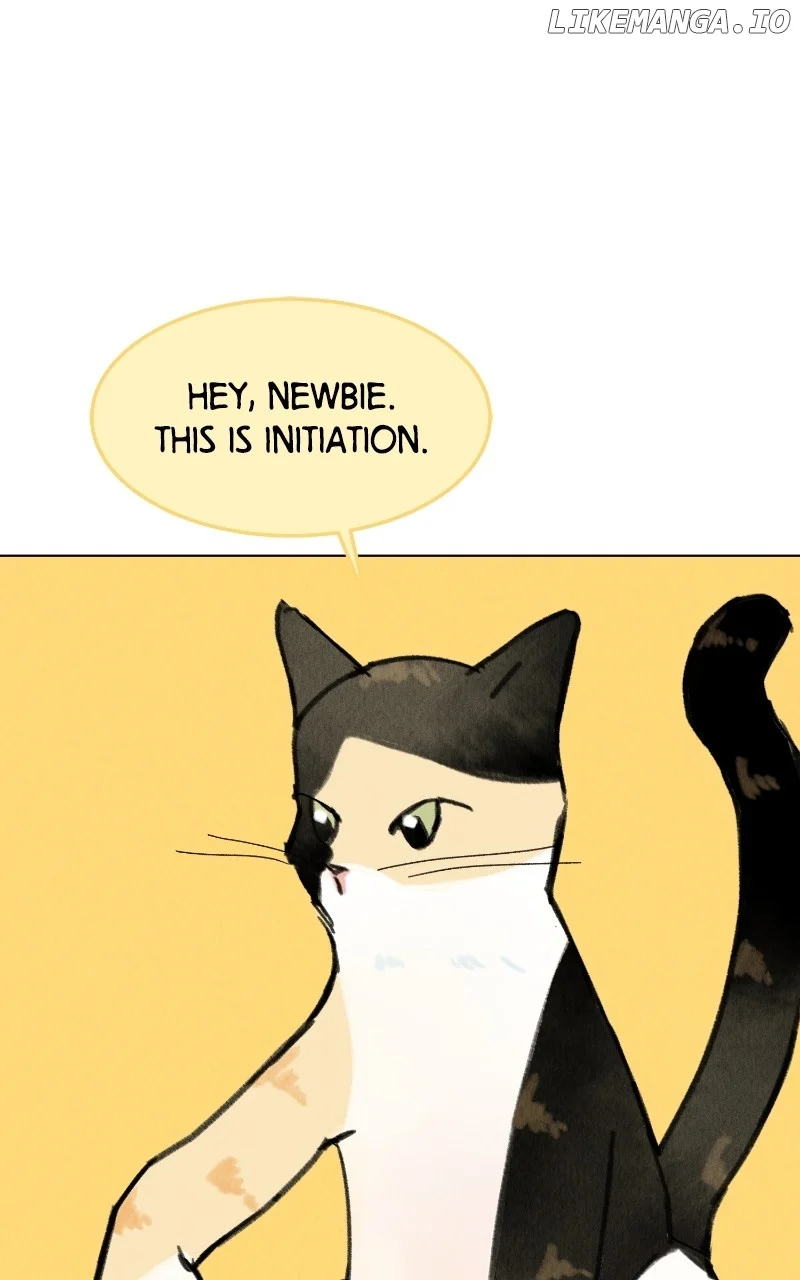 Want to See My Cat? Chapter 48 page 34
