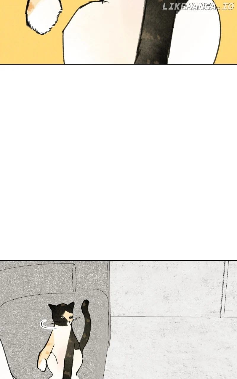 Want to See My Cat? Chapter 48 page 35