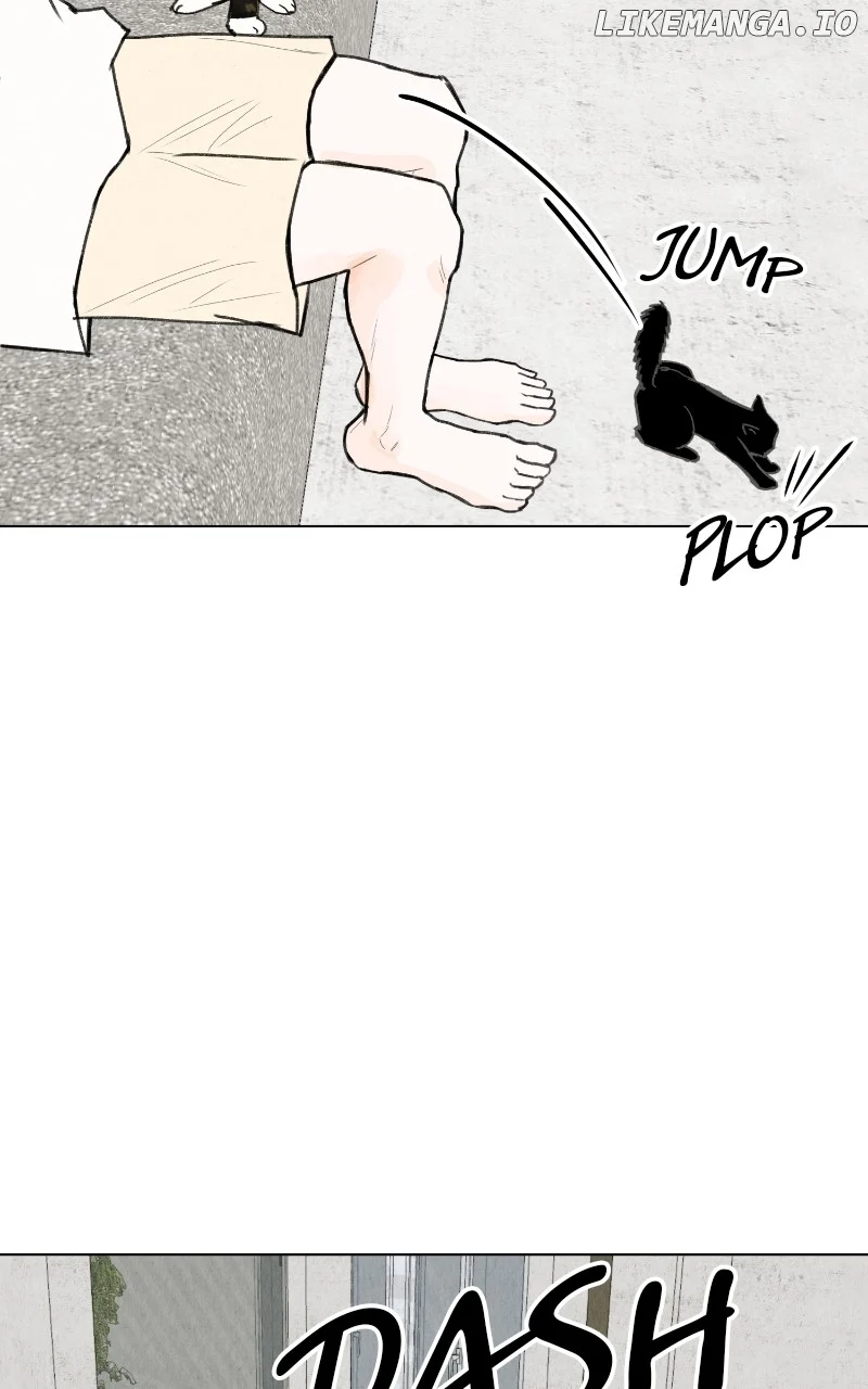 Want to See My Cat? Chapter 48 page 36