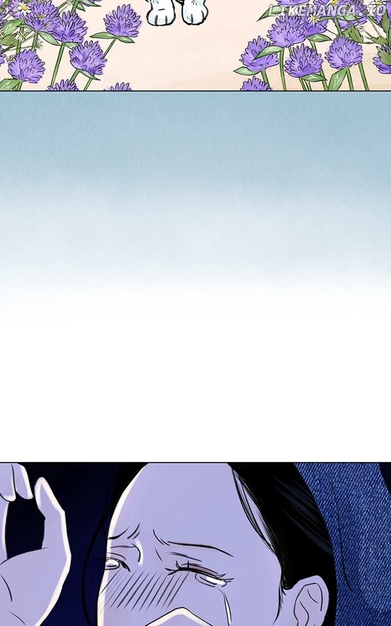Want to See My Cat? Chapter 5 page 41