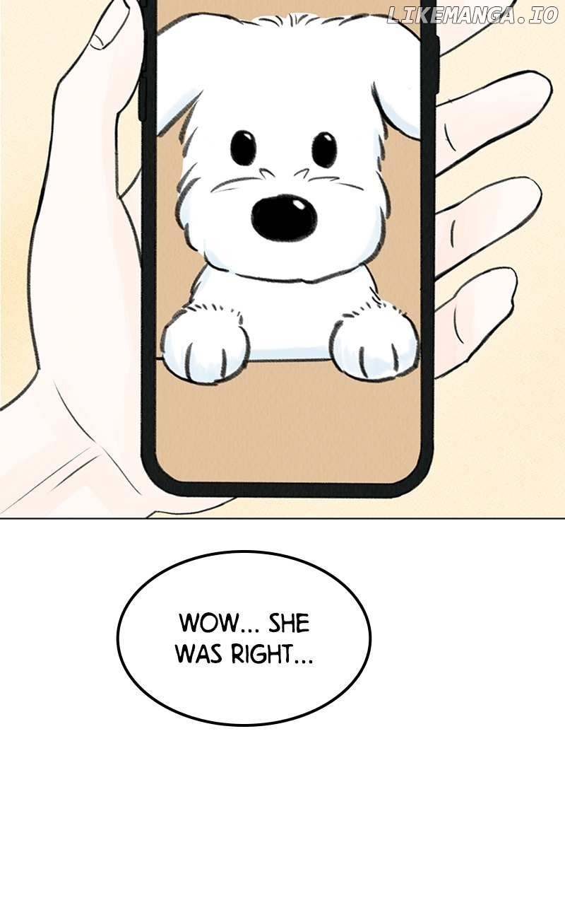 Want to See My Cat? Chapter 5 page 91