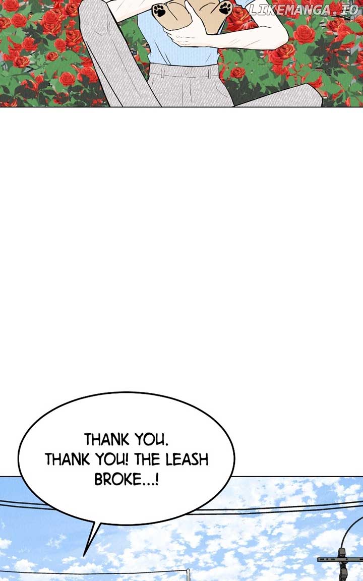 Want to See My Cat? Chapter 55 page 60
