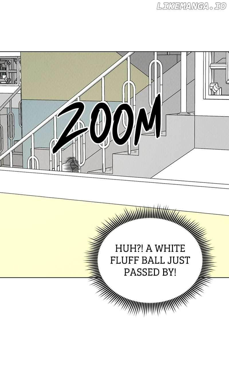 Want to See My Cat? Chapter 6 page 18