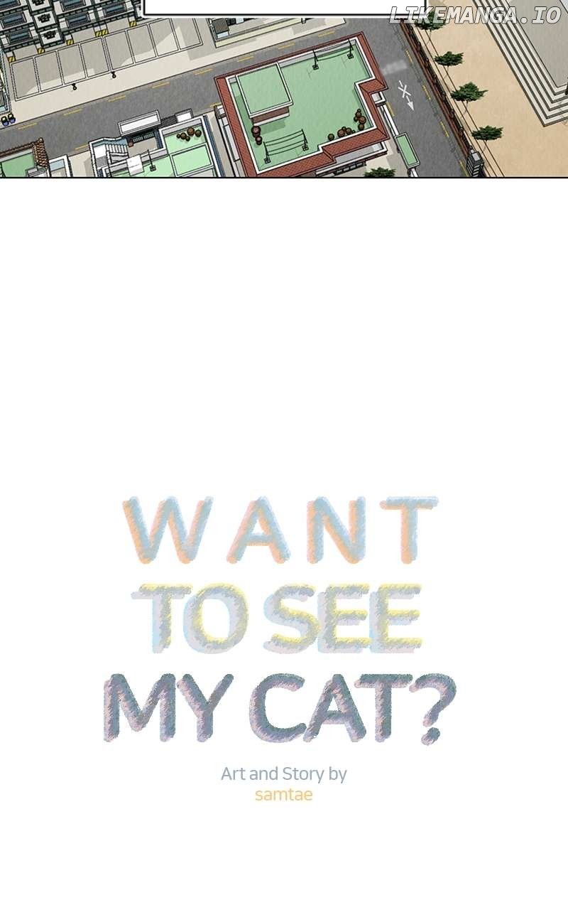 Want to See My Cat? Chapter 6 page 1